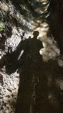 p5071536_thumb.jpg