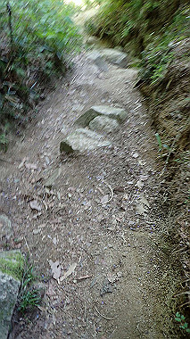 p5071538_thumb.jpg