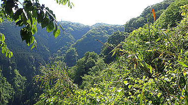 p5071539_thumb.jpg