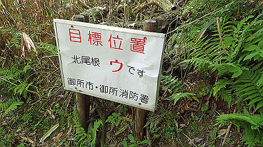 p5071542_thumb.jpg