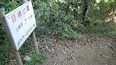 p5071545_thumb.jpg