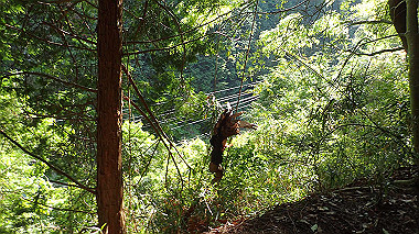 p5071549_thumb.jpg