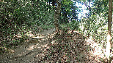 p5071550_thumb.jpg