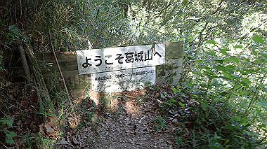 p5071551_thumb.jpg