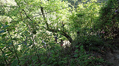 p5071552_thumb.jpg
