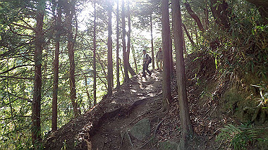 p5071553_thumb.jpg