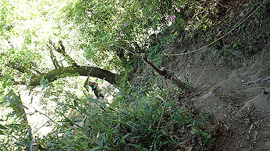 p5071554_thumb.jpg