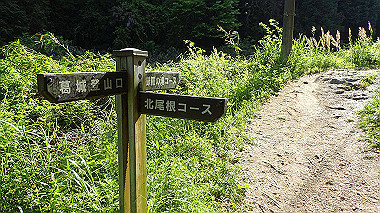 p5071557_thumb.jpg