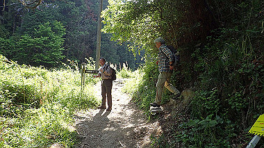 p5071562_thumb.jpg
