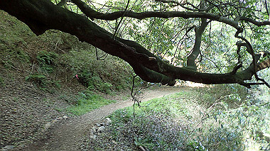 p5071564_thumb.jpg