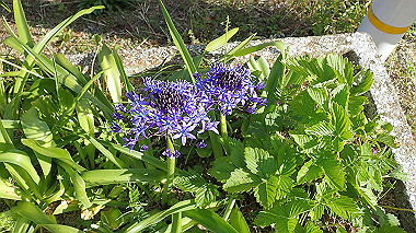p5071569_thumb.jpg