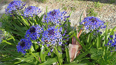p5071570_thumb.jpg
