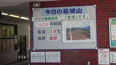 p5071571_thumb.jpg