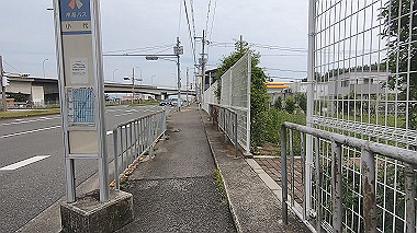 gx016461.mp4_snapshot_00.26_thumb.jpg