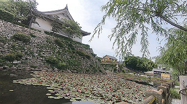 gx016474.mp4_snapshot_01.15_thumb.jpg