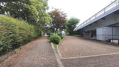 gx016480.mp4_snapshot_00.01_thumb.jpg