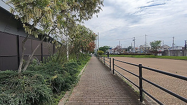 gx016480.mp4_snapshot_00.31_thumb.jpg