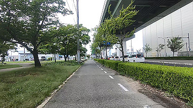 gx016481.mp4_snapshot_00.01_thumb.jpg