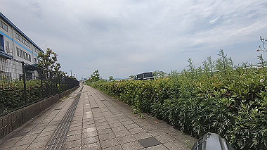 gx016485.mp4_snapshot_00.03_thumb.jpg