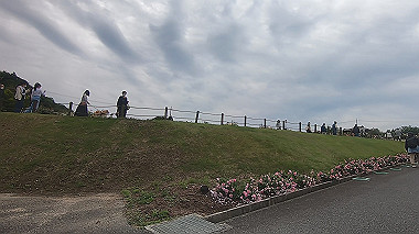 gx016492.mp4_snapshot_02.42_thumb.jpg