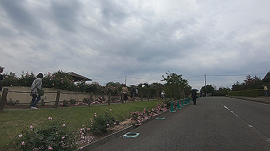 gx016492.mp4_snapshot_03.05_thumb.jpg