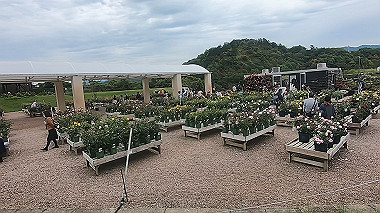 gx016493.mp4_snapshot_00.00_thumb.jpg