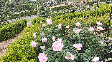 gx016493.mp4_snapshot_01.29_thumb.jpg