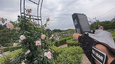 gx016493.mp4_snapshot_02.13_thumb.jpg