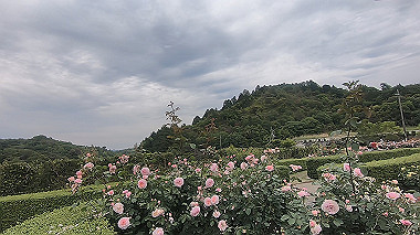 gx016493.mp4_snapshot_02.47_thumb.jpg