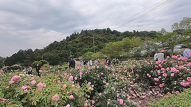 gx016493.mp4_snapshot_03.52_thumb.jpg