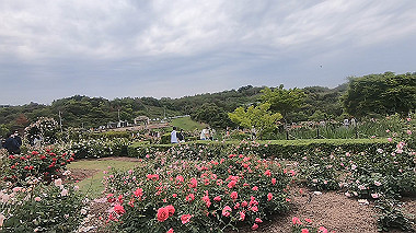 gx016493.mp4_snapshot_05.14_thumb.jpg