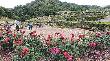 gx016494.mp4_snapshot_00.05_thumb.jpg