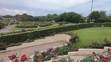 gx016494.mp4_snapshot_00.19_thumb.jpg