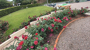 gx016494.mp4_snapshot_00.22_thumb.jpg