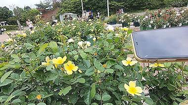 gx016494.mp4_snapshot_01.22_thumb.jpg