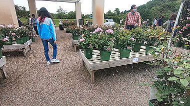 gx016494.mp4_snapshot_01.28_thumb.jpg