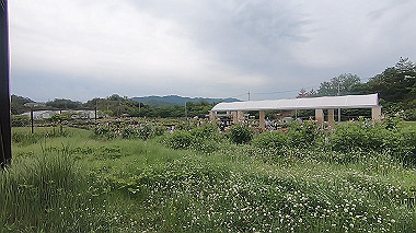 gx016496.mp4_snapshot_00.01_thumb.jpg