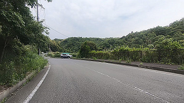 gx016497.mp4_snapshot_00.49_thumb.jpg