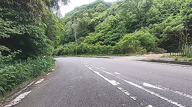 gx016497.mp4_snapshot_01.26_thumb.jpg