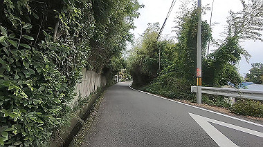 gx016498.mp4_snapshot_00.02_thumb.jpg
