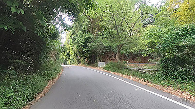 gx016498.mp4_snapshot_00.20_thumb.jpg