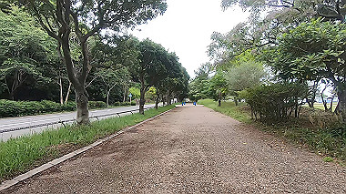 gx016500.mp4_snapshot_01.55_thumb.jpg