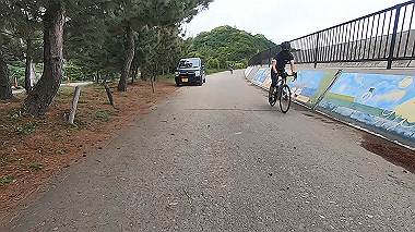 gx016502.mp4_snapshot_04.37_thumb.jpg