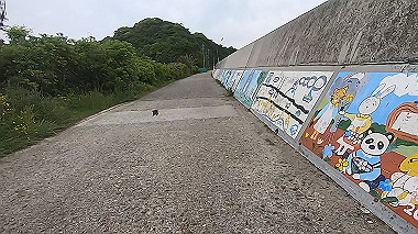 gx016502.mp4_snapshot_06.54_thumb.jpg