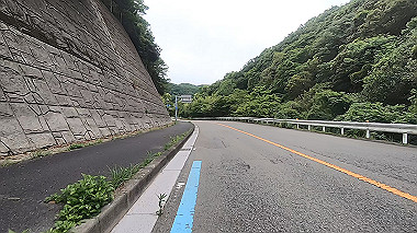 gx016508.mp4_snapshot_00.02_thumb.jpg