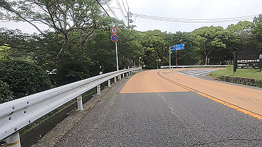 gx016508.mp4_snapshot_00.54_thumb.jpg