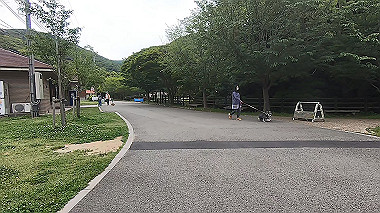 gx016508.mp4_snapshot_01.44_thumb.jpg