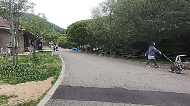 gx016508.mp4_snapshot_01.45_thumb.jpg