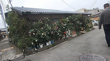 gx016509.mp4_snapshot_16.09_thumb.jpg