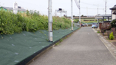 p5151592_thumb.jpg